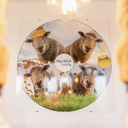 Moewe Meerblick 48 3 N Appartamento Schillig
